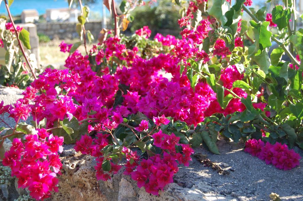 Meropi Villas Kardamyli Extérieur photo